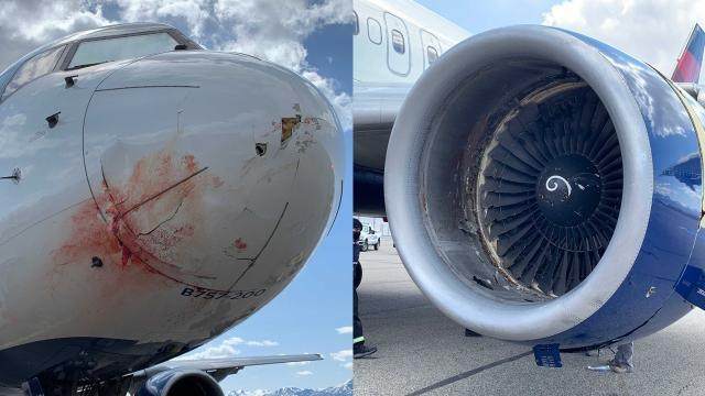 开云官网-爵士将帅回忆空中惊魂：引擎爆炸 飞机剧烈摇晃